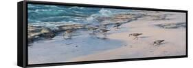 Sanderlings-Michael Jackson-Framed Stretched Canvas