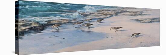 Sanderlings-Michael Jackson-Stretched Canvas