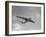 Sanders Roe SR45 Princess Flying Boat at SBAC Farnborough Airshow, September 1956-null-Framed Premium Photographic Print