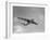 Sanders Roe SR45 Princess Flying Boat at SBAC Farnborough Airshow, September 1956-null-Framed Premium Photographic Print