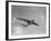 Sanders Roe SR45 Princess Flying Boat at SBAC Farnborough Airshow, September 1956-null-Framed Photographic Print