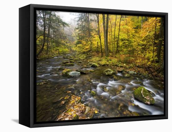 Sanderson Brook, Chester-Blanford State Forest, Chester, Massachusetts, USA-Jerry & Marcy Monkman-Framed Stretched Canvas