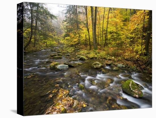 Sanderson Brook, Chester-Blanford State Forest, Chester, Massachusetts, USA-Jerry & Marcy Monkman-Stretched Canvas