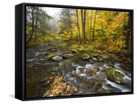 Sanderson Brook, Chester-Blanford State Forest, Chester, Massachusetts, USA-Jerry & Marcy Monkman-Framed Stretched Canvas