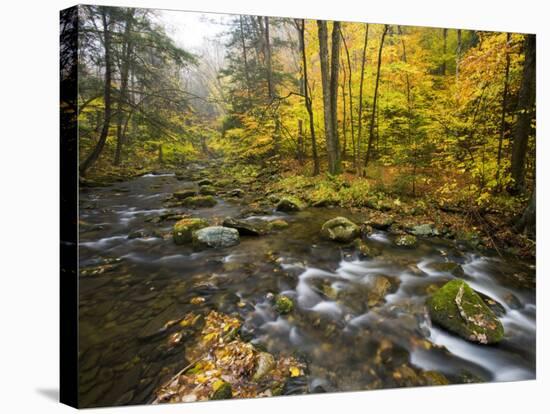 Sanderson Brook, Chester-Blanford State Forest, Chester, Massachusetts, USA-Jerry & Marcy Monkman-Stretched Canvas