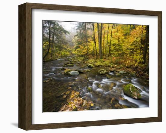 Sanderson Brook, Chester-Blanford State Forest, Chester, Massachusetts, USA-Jerry & Marcy Monkman-Framed Photographic Print