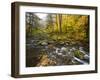 Sanderson Brook, Chester-Blanford State Forest, Chester, Massachusetts, USA-Jerry & Marcy Monkman-Framed Photographic Print