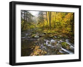 Sanderson Brook, Chester-Blanford State Forest, Chester, Massachusetts, USA-Jerry & Marcy Monkman-Framed Photographic Print