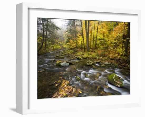 Sanderson Brook, Chester-Blanford State Forest, Chester, Massachusetts, USA-Jerry & Marcy Monkman-Framed Photographic Print