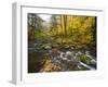 Sanderson Brook, Chester-Blanford State Forest, Chester, Massachusetts, USA-Jerry & Marcy Monkman-Framed Photographic Print