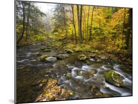 Sanderson Brook, Chester-Blanford State Forest, Chester, Massachusetts, USA-Jerry & Marcy Monkman-Mounted Photographic Print