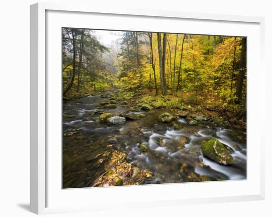 Sanderson Brook, Chester-Blanford State Forest, Chester, Massachusetts, USA-Jerry & Marcy Monkman-Framed Photographic Print