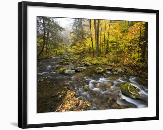 Sanderson Brook, Chester-Blanford State Forest, Chester, Massachusetts, USA-Jerry & Marcy Monkman-Framed Photographic Print