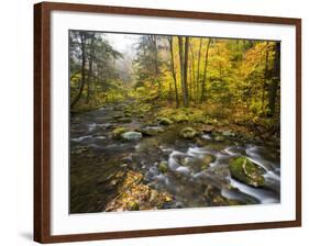 Sanderson Brook, Chester-Blanford State Forest, Chester, Massachusetts, USA-Jerry & Marcy Monkman-Framed Photographic Print