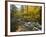 Sanderson Brook, Chester-Blanford State Forest, Chester, Massachusetts, USA-Jerry & Marcy Monkman-Framed Photographic Print