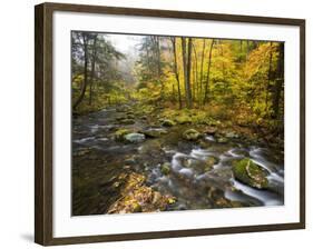 Sanderson Brook, Chester-Blanford State Forest, Chester, Massachusetts, USA-Jerry & Marcy Monkman-Framed Photographic Print