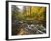Sanderson Brook, Chester-Blanford State Forest, Chester, Massachusetts, USA-Jerry & Marcy Monkman-Framed Photographic Print