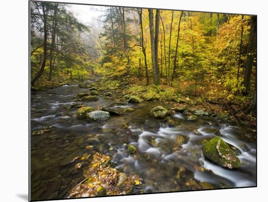 Sanderson Brook, Chester-Blanford State Forest, Chester, Massachusetts, USA-Jerry & Marcy Monkman-Mounted Photographic Print