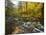 Sanderson Brook, Chester-Blanford State Forest, Chester, Massachusetts, USA-Jerry & Marcy Monkman-Mounted Photographic Print