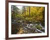 Sanderson Brook, Chester-Blanford State Forest, Chester, Massachusetts, USA-Jerry & Marcy Monkman-Framed Photographic Print