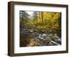 Sanderson Brook, Chester-Blanford State Forest, Chester, Massachusetts, USA-Jerry & Marcy Monkman-Framed Photographic Print