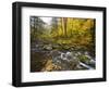 Sanderson Brook, Chester-Blanford State Forest, Chester, Massachusetts, USA-Jerry & Marcy Monkman-Framed Photographic Print