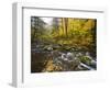 Sanderson Brook, Chester-Blanford State Forest, Chester, Massachusetts, USA-Jerry & Marcy Monkman-Framed Photographic Print