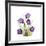 Sandersonia B-Albert Koetsier-Framed Premium Giclee Print