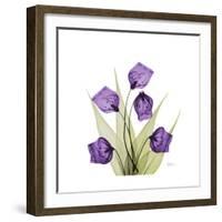 Sandersonia B-Albert Koetsier-Framed Premium Giclee Print