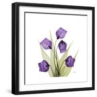 Sandersonia B-Albert Koetsier-Framed Premium Giclee Print