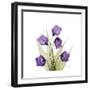 Sandersonia B-Albert Koetsier-Framed Premium Giclee Print