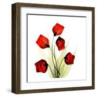 Sandersonia Bunch in Red-Albert Koetsier-Framed Art Print