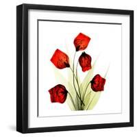 Sandersonia Bunch in Red-Albert Koetsier-Framed Art Print