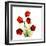 Sandersonia Bunch in Red-Albert Koetsier-Framed Art Print