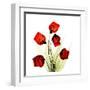 Sandersonia Bunch in Red-Albert Koetsier-Framed Art Print