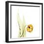 Sandersonia in Gold-Albert Koetsier-Framed Art Print