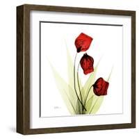 Sandersonia in Red-Albert Koetsier-Framed Art Print