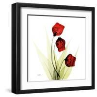 Sandersonia in Red-Albert Koetsier-Framed Art Print