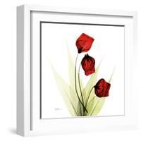 Sandersonia in Red-Albert Koetsier-Framed Art Print