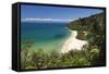 Sandfly Bay, Abel Tasman National Park, Nelson Region, South Island, New Zealand, Pacific-Stuart Black-Framed Stretched Canvas