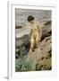 Sandhamn Study-Anders Leonard Zorn-Framed Giclee Print