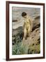 Sandhamn Study-Anders Leonard Zorn-Framed Giclee Print