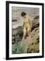 Sandhamn Study-Anders Leonard Zorn-Framed Giclee Print