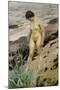 Sandhamn Study-Anders Leonard Zorn-Mounted Giclee Print