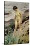 Sandhamn Study-Anders Leonard Zorn-Stretched Canvas