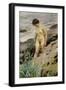 Sandhamn Study-Anders Leonard Zorn-Framed Giclee Print