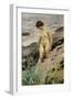 Sandhamn Study-Anders Leonard Zorn-Framed Giclee Print