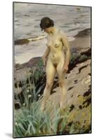 Sandhamn Study-Anders Leonard Zorn-Mounted Giclee Print