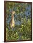 Sandhill Crane Colt Out Foraging, Florida-Maresa Pryor-Framed Photographic Print