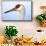 Sandhill Crane, Grus Canadensis, Close Up of Heads-Richard Wright-Mounted Premium Photographic Print displayed on a wall